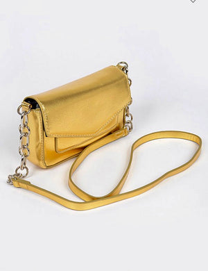 The Golden Leather Bag